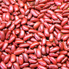 Kidney Bean Seeds Set of 100+ | Phaseolus vulgaris | Non-GMO Garden Seeds for Planting