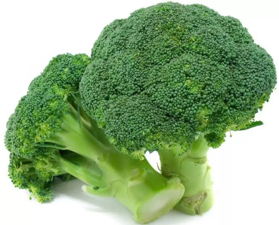 Organic Broccoli Seeds 100+ Heirloom Waltham 29 Non-GMO for Home Gardening & Sustainable Farming