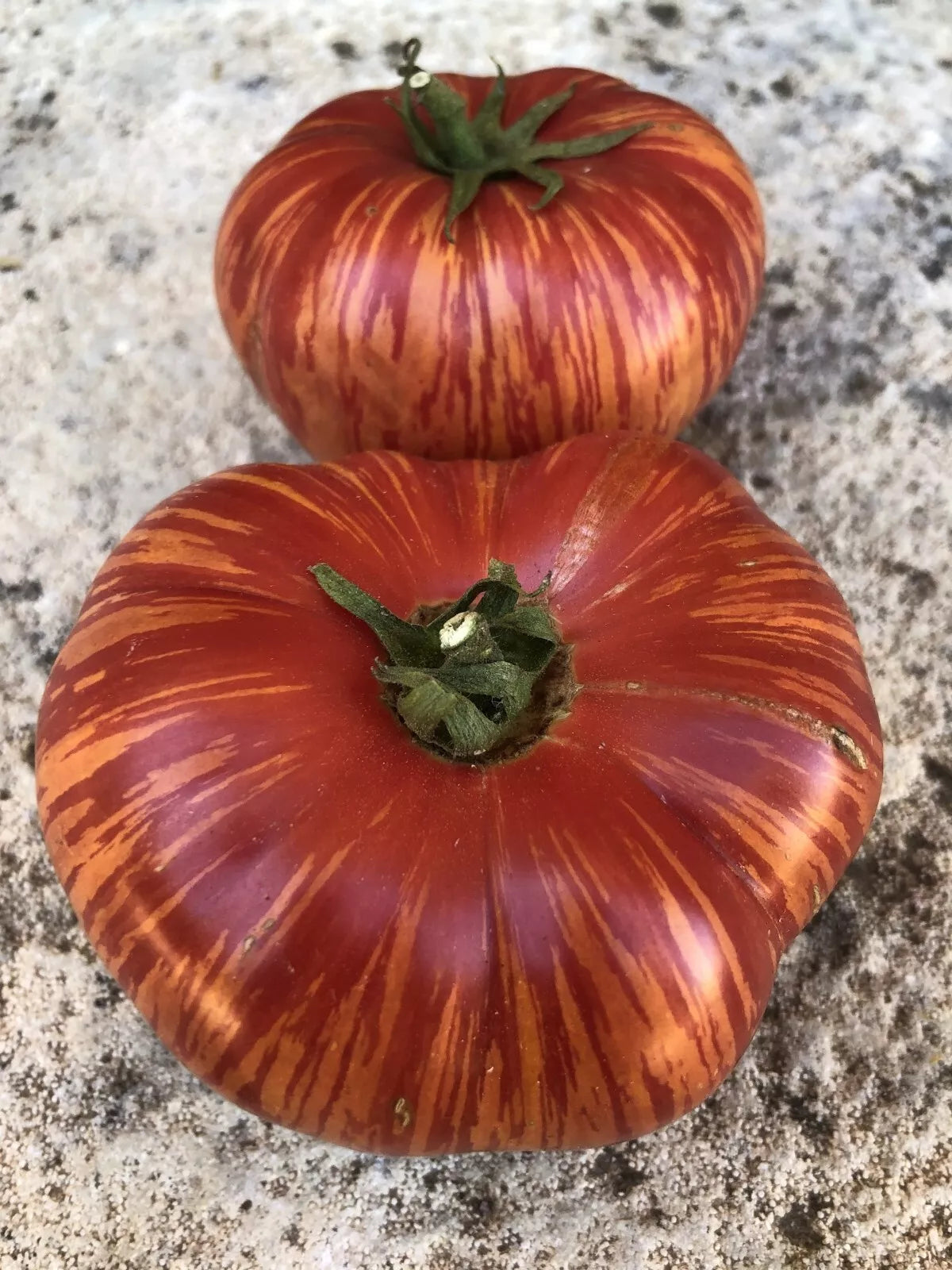 Vintage Wine Tomato Seeds - Rare Heirloom, Non-GMO, Potato Leaf Variety, Solanum lycopersicum, Seed Packet