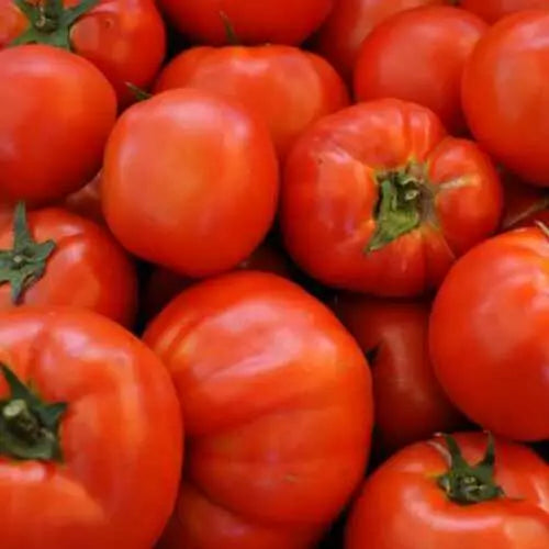 Beefsteak Tomato Seeds 100 Ct Heirloom Non-GMO Vegetable Garden Seeds Solanum lycopersicum
