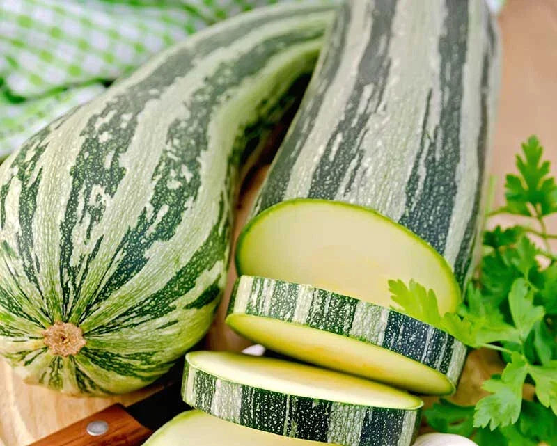 Cocozelle Squash Seeds - 25+ Heirloom Cucurbita pepo for Garden Planting USA