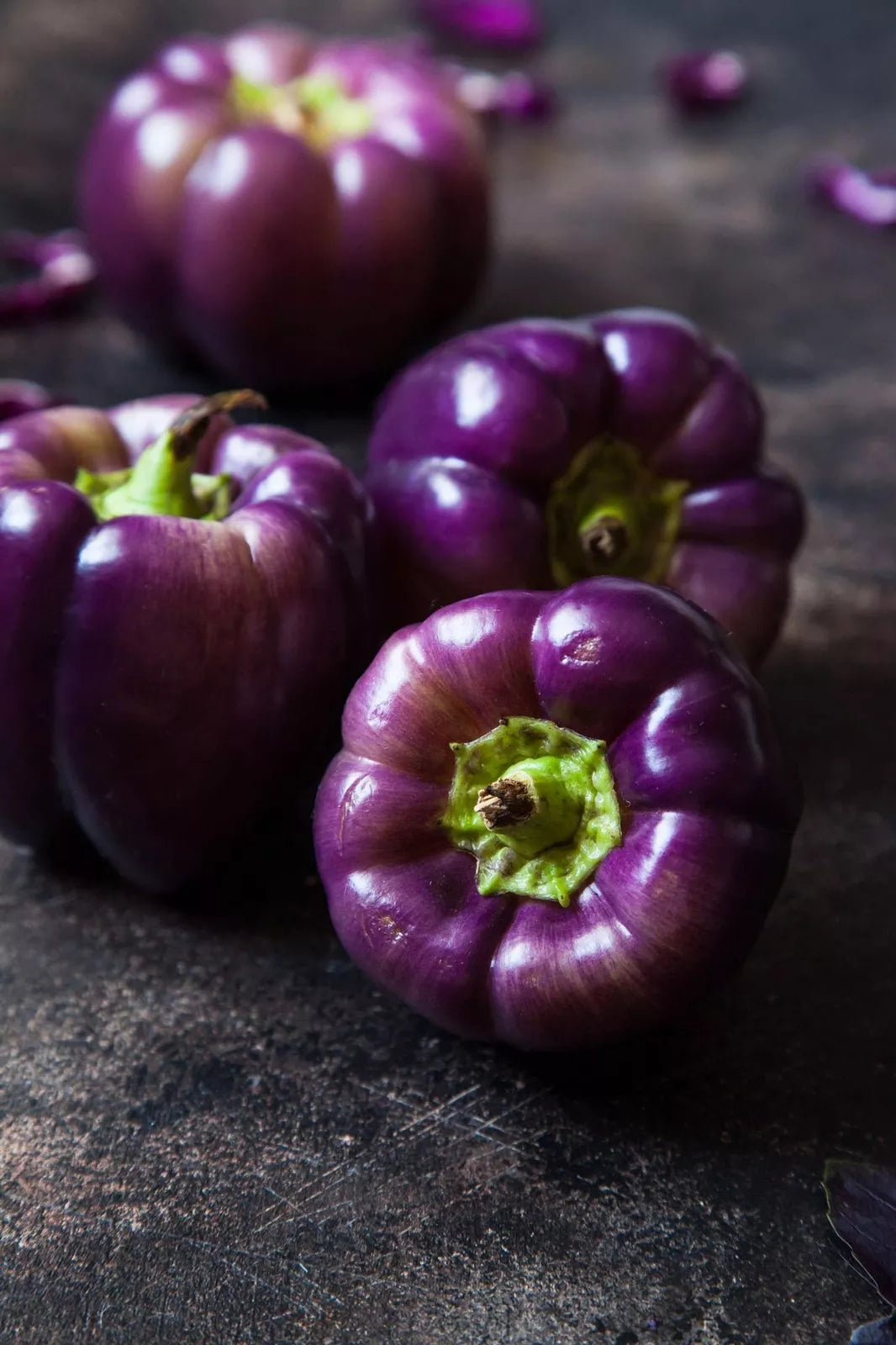 Purple Beauty Pepper Seeds - 100+ Capsicum annuum Seeds for Garden