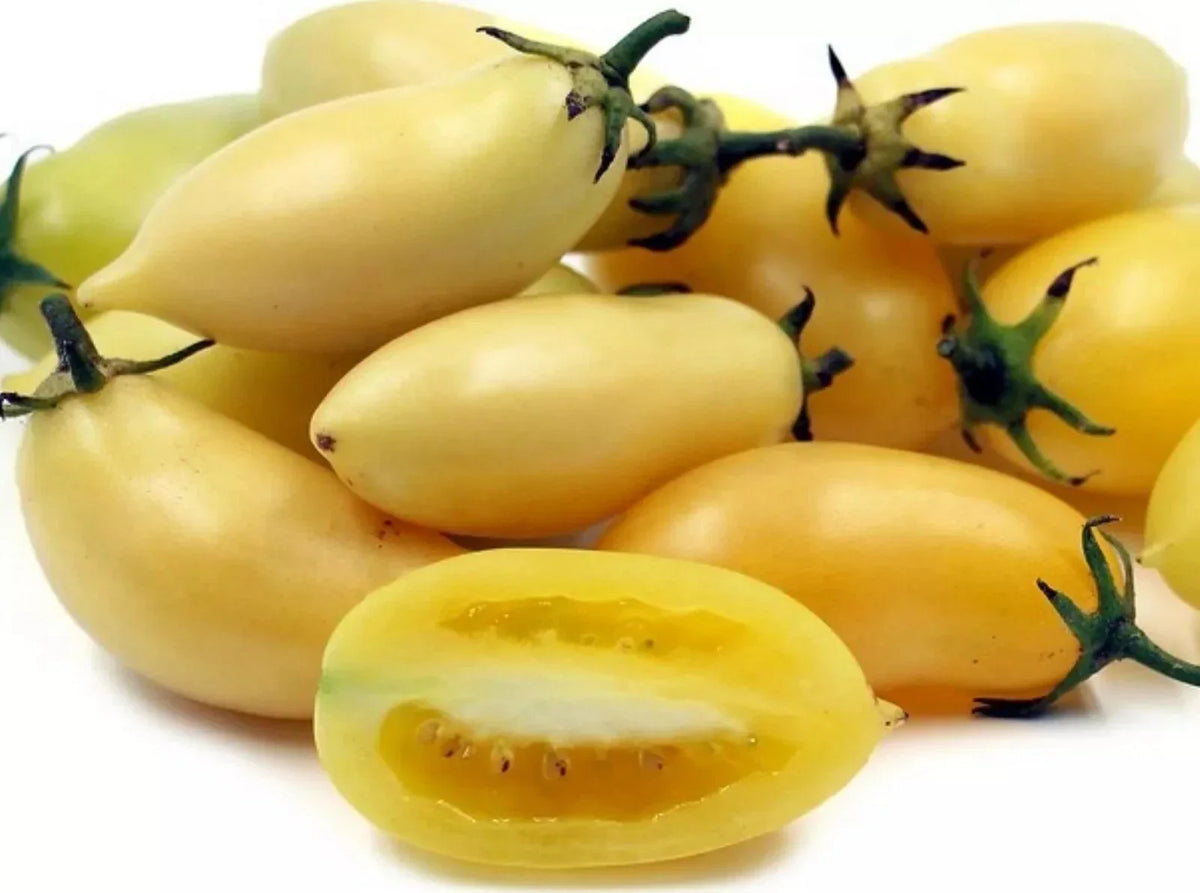 Cream Sausage Tomato Seeds - Organic Heirloom Non-GMO, Solanum lycopersicum, Rare Elongated Yellow Tomatoes, 30+ Seeds