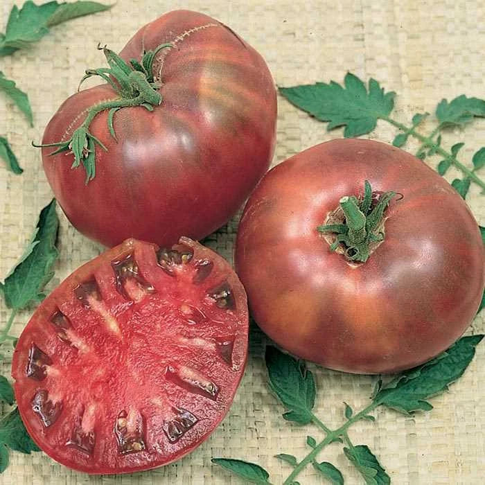 Cherokee Purple Tomato Seeds - Heirloom, Non-GMO, Indeterminate, Solanum lycopersicum, Garden Vegetable Seeds