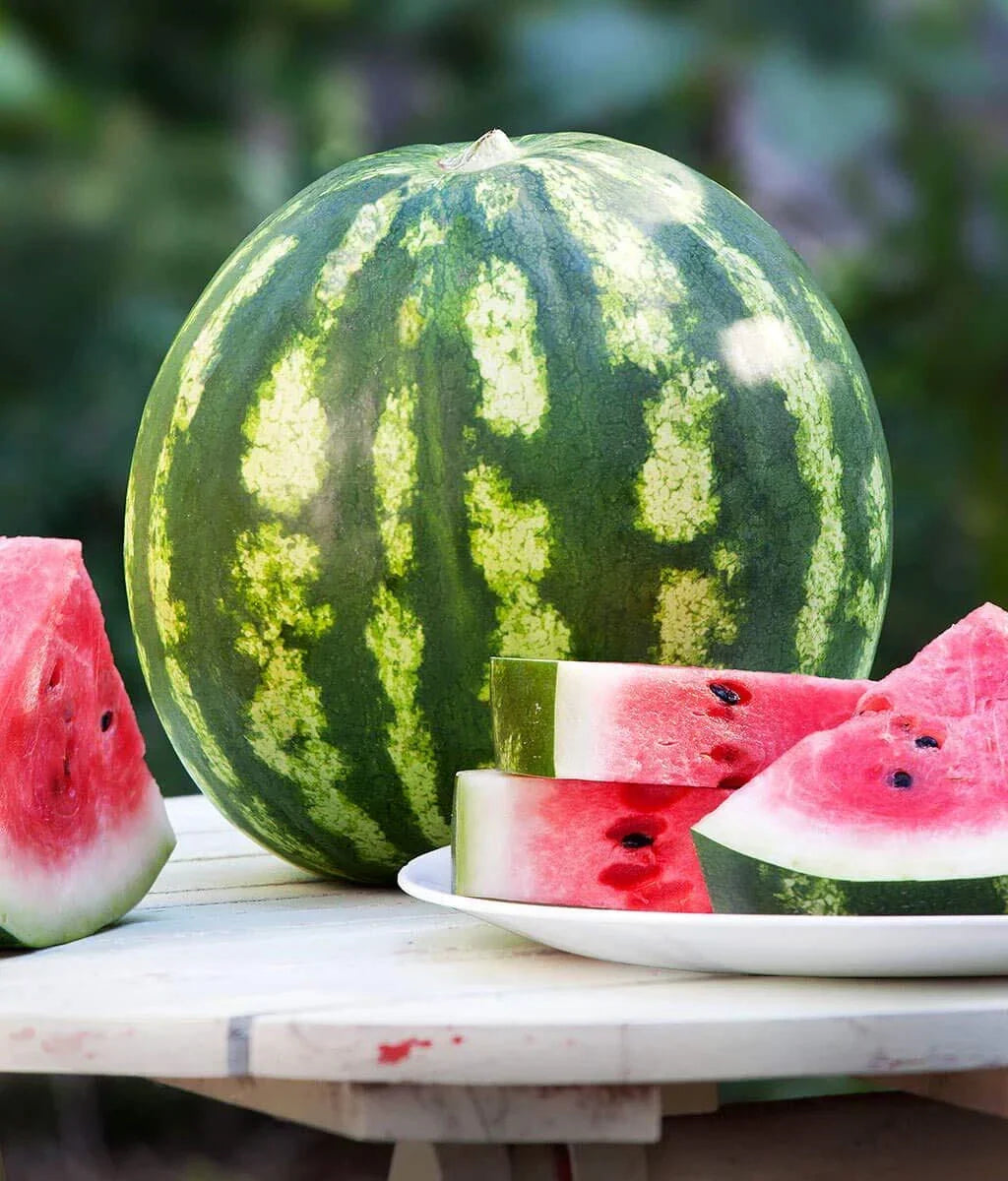 Crimson Watermelon Seeds - 30+ Heirloom Seeds - Citrullus lanatus - Grown in USA
