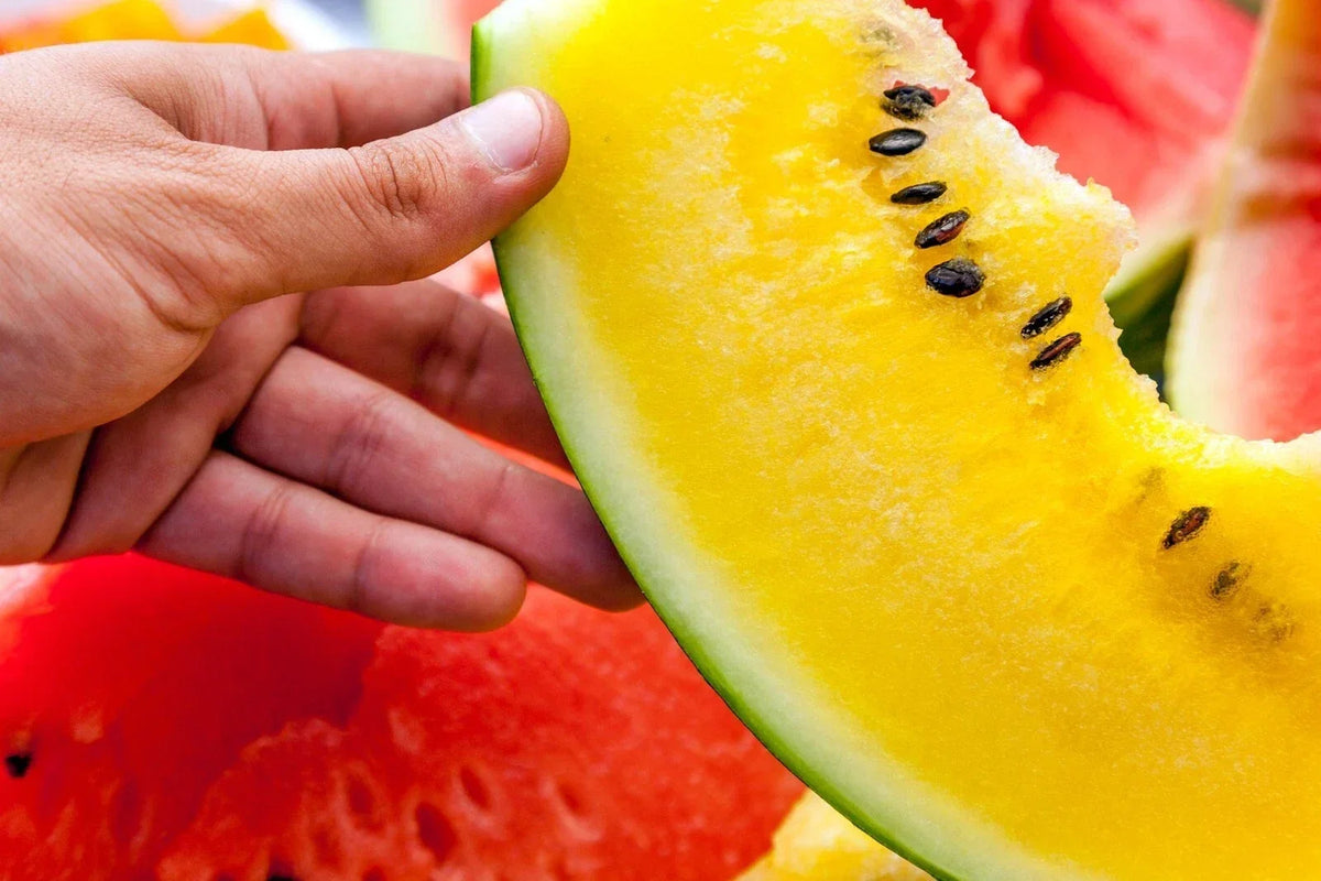 Moon and Stars Watermelon Seeds - Pack of 20+ Non-GMO Heirloom Yellow Flesh Citrullus lanatus