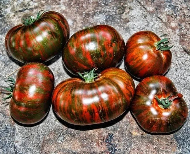Chocolate Stripe Tomato Seeds - Heirloom Organic Non-GMO Rare Variety, Solanum lycopersicum, 120+ Seeds