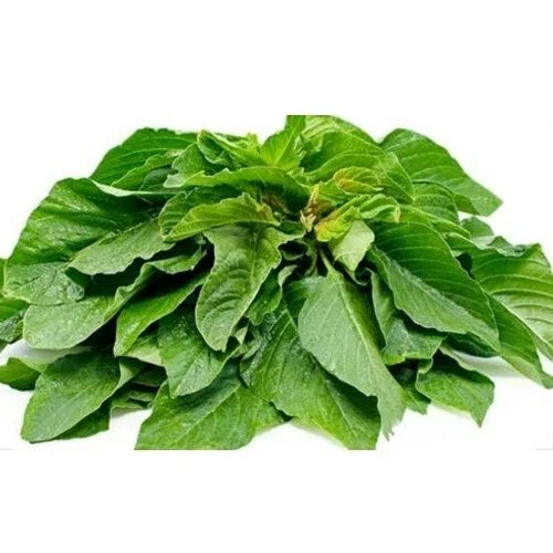 Green Amaranth Seeds - Edible Vegetable, Chinese Spinach Yin Cho, Amaranthus viridis, 500+ Seeds for Home Gardening