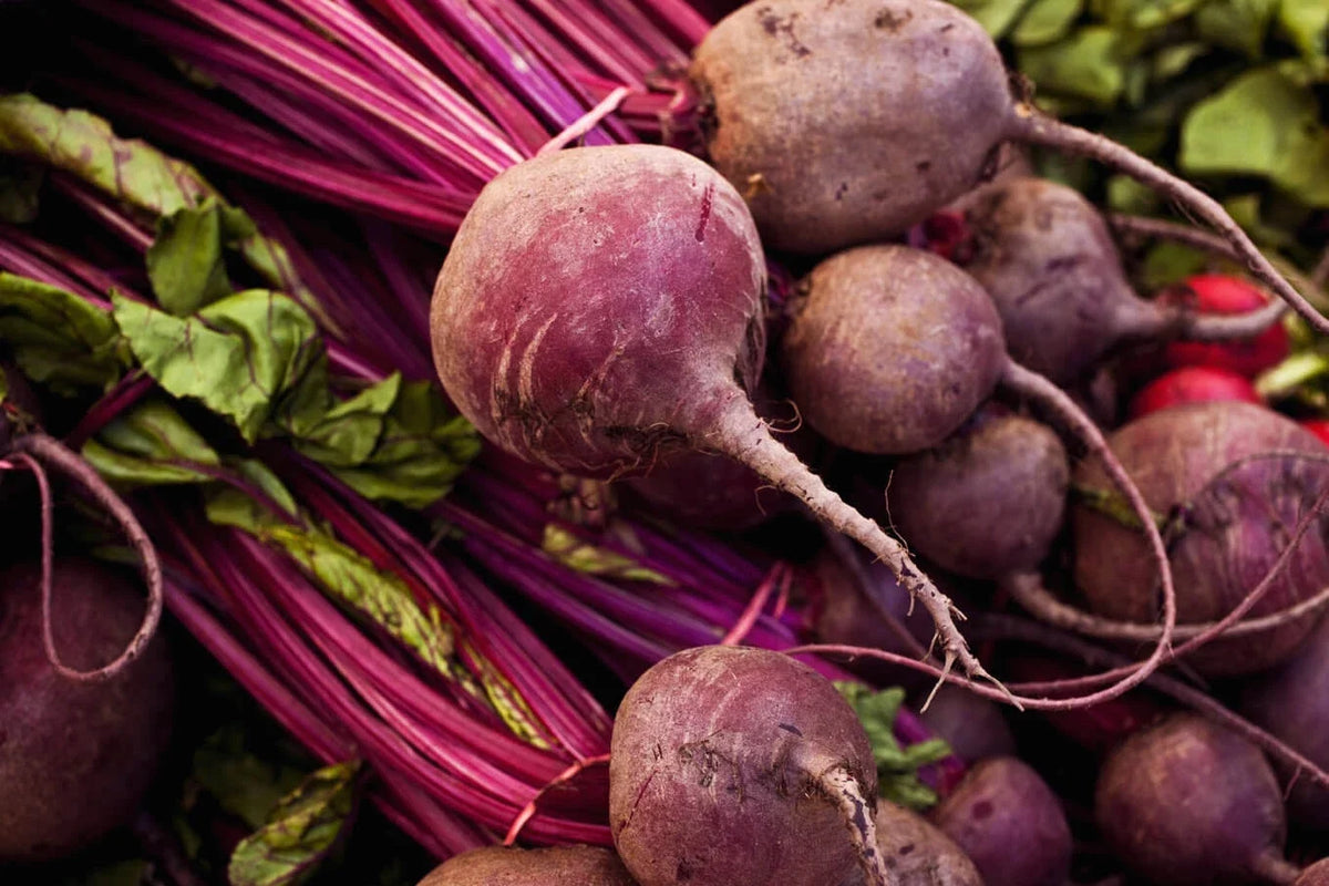 Detroit Dark Red Beet Seeds - Heirloom NON-GMO, Detroit Globe Variety, Garden Vegetable Seeds