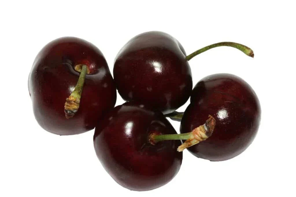 Bada Bing Cherry Seeds - 10+ Count Prunus avium - USA Grown Fruit Tree Seeds
