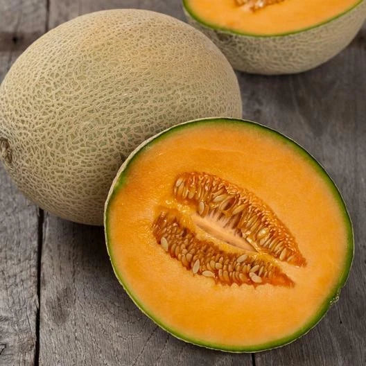 Hales Best Jumbo Cantaloupe Seeds - 100 Non-GMO Cucumis melo for Home Garden, Juicy, Sweet, Vining Melon Seeds