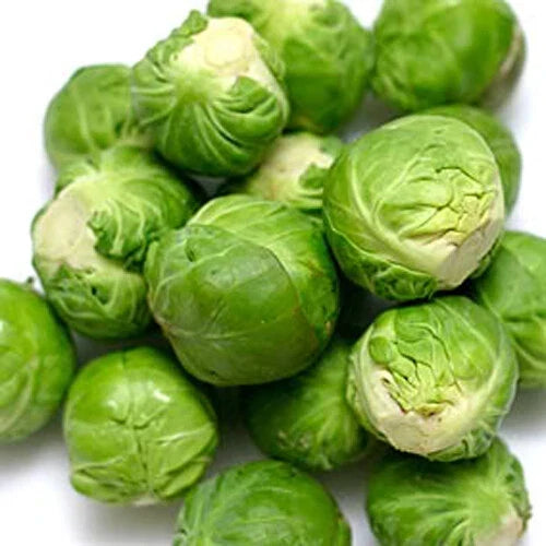 Brussel Sprouts Seeds - 300+ Catskill Variety, Non-GMO, Heirloom, Brassica oleracea, Vegetable Garden Seeds