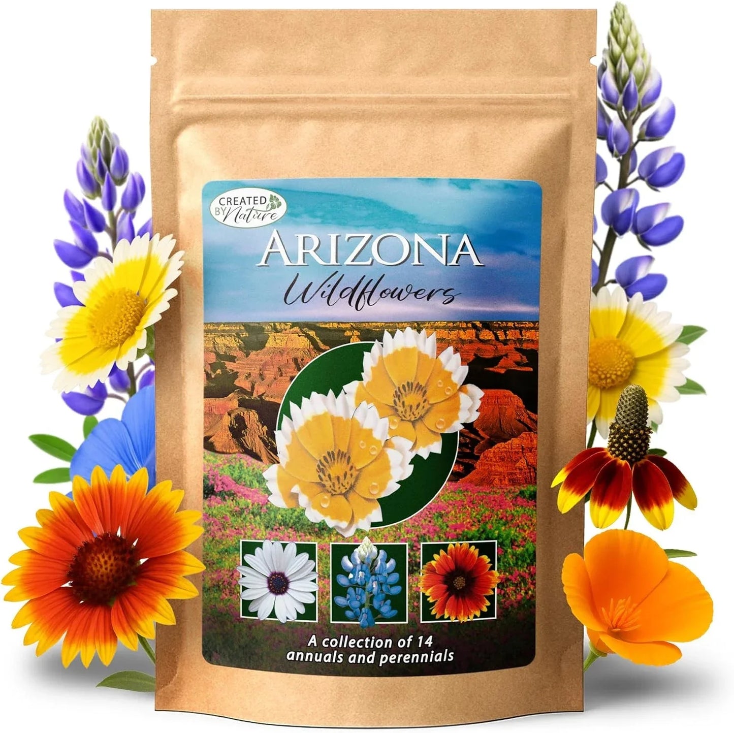 Arizona Wildflower Seed Mix - 14 Varieties, Poppies & Lupines, Native Wildflower Seeds for Gardens, Drought-Tolerant, 3 oz