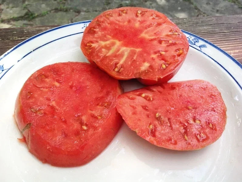 German Johnson Tomato Seeds - Organic Heirloom Non-GMO Pack for Gardening, Solanum lycopersicum