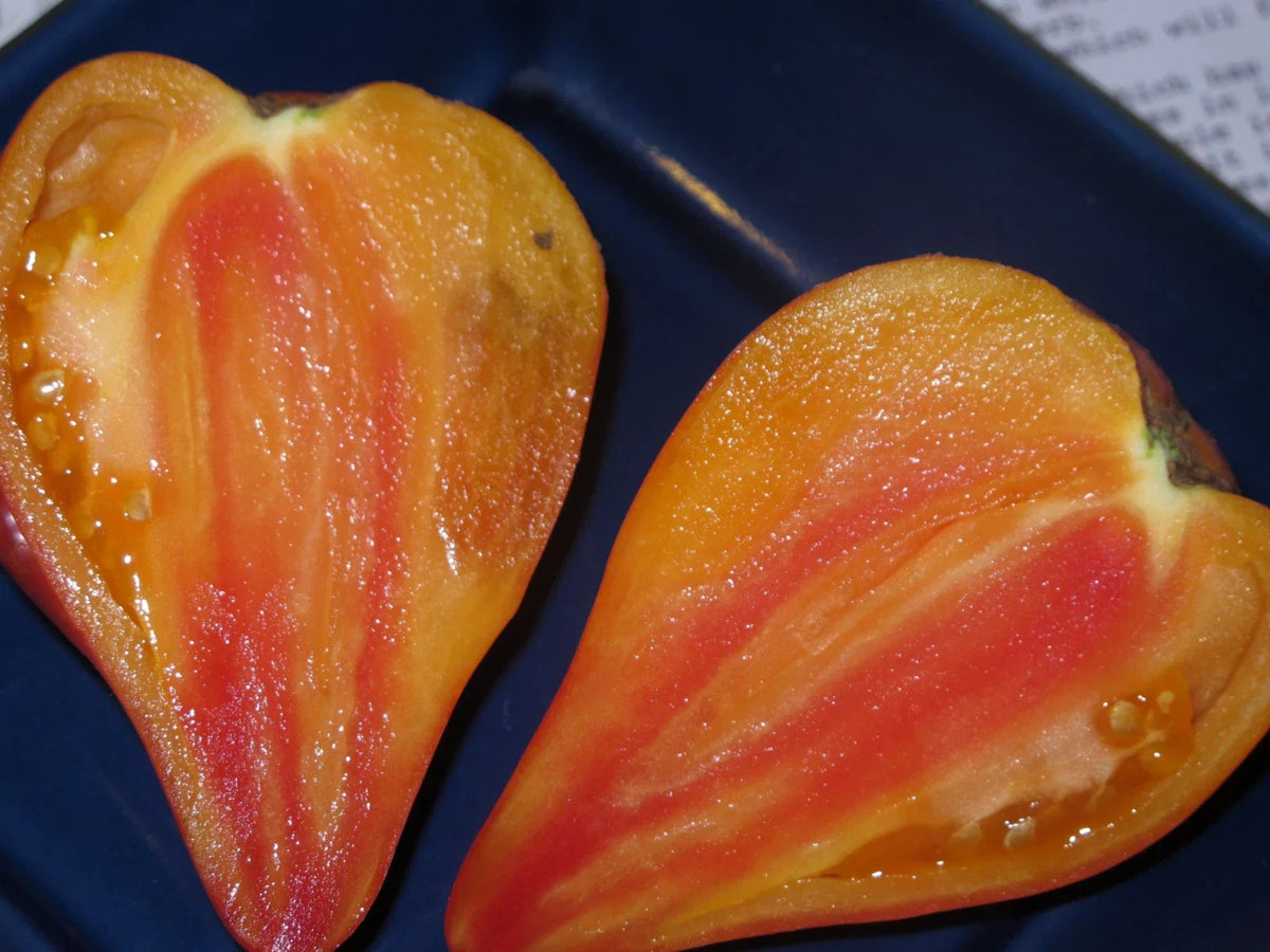 Orange Oxheart Tomato Seeds - Heirloom Organic Seeds for Home Gardening, Bright Orange, Solanum lycopersicum, 120+ Seeds