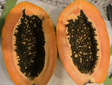 Red Heart Creamy Papaya Seeds - 50 Fresh Seeds for Home Garden, Carica papaya