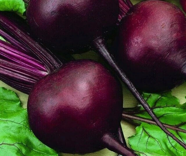 Beet Seeds 100+ Detroit Dark Red Non-GMO Vegetable Beta vulgaris for Garden Planting