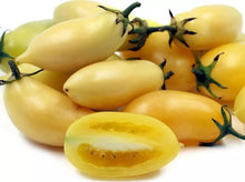 Cream Sausage Tomato Seeds - 10+ Heirloom Organic Non-GMO - Rare Variety - Perfect for Home Gardening