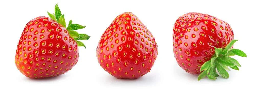 Everbearing Strawberry Seeds - 200+ Seeds - Fragaria × ananassa - Red Fruit