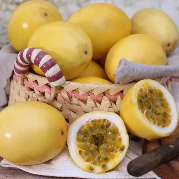 Yellow Passion Fruit Seeds - Sweet Granadilla Passiflora Ligularis 30 Pack for Home Garden & Container Growing