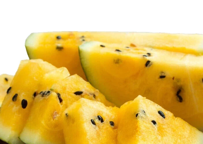 Watermelon Seeds - 8 Seeds - Yellow Flesh Moon and Stars Citrullus lanatus - Unique Star-Patterned Rind