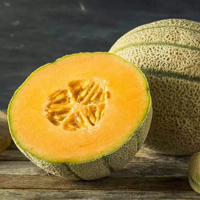 Honey Rock Melon Seeds, Non-GMO Cantaloupe, Sugar Rock Variety, Cucumis melo, for Home Garden, Full Sun, Vining Plant