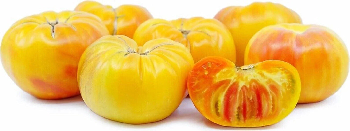 Pineapple Tomato Seeds - Heirloom Organic Non-GMO - 120+ Solanum lycopersicum Fresh Seeds for Garden, Salad, and Cooking