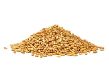 Wheat Cover Crop Seeds - Non-GMO Winter Wheat - Deer & Turkey Food Plot - Triticum aestivum