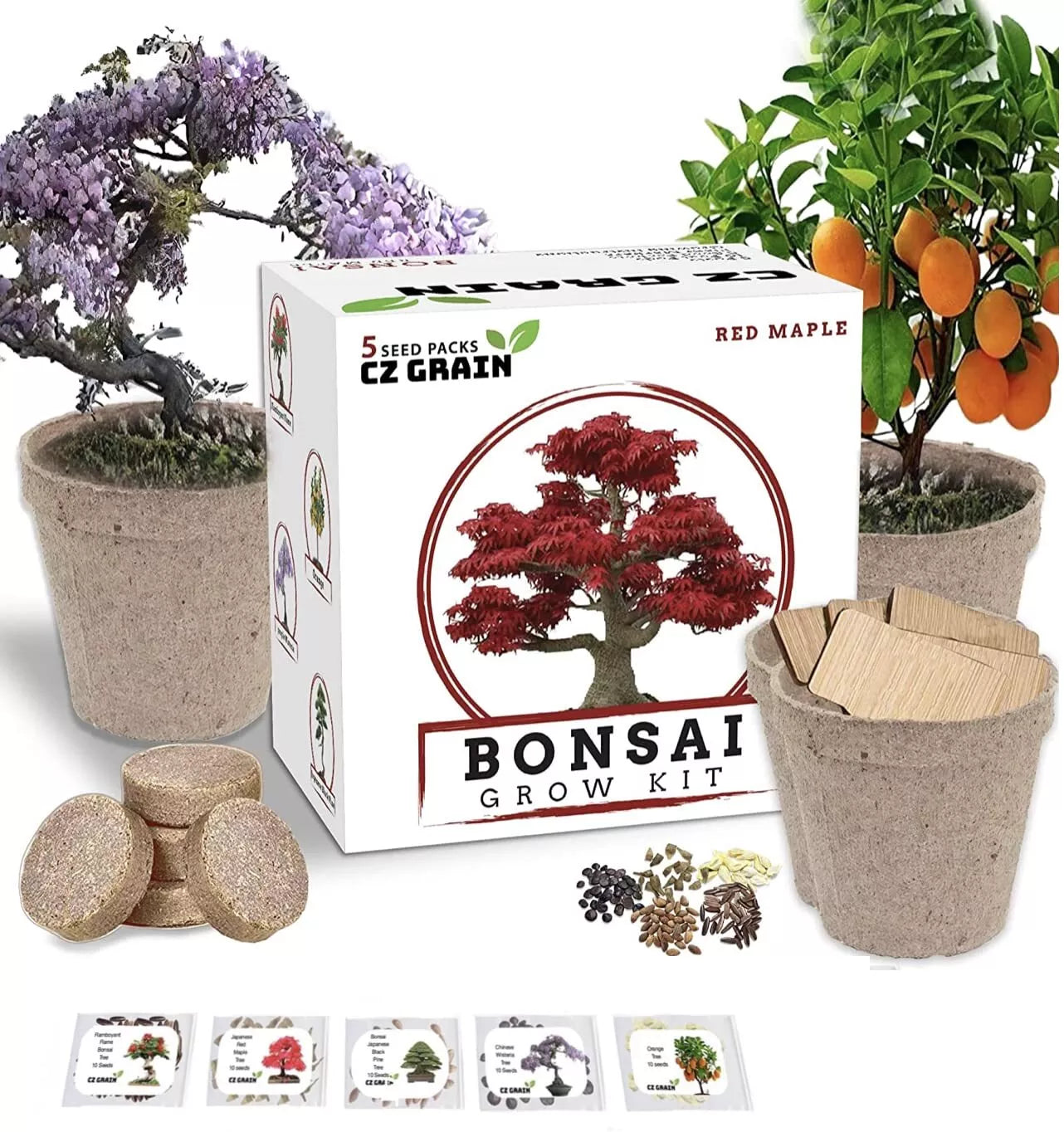 Bonsai Tree Kit - Grow 5 Varieties Including Ficus, Juniper, Pine, Maple, and Elm
