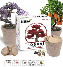 Bonsai Tree Kit - Grow 5 Varieties Including Ficus, Juniper, Pine, Maple, and Elm