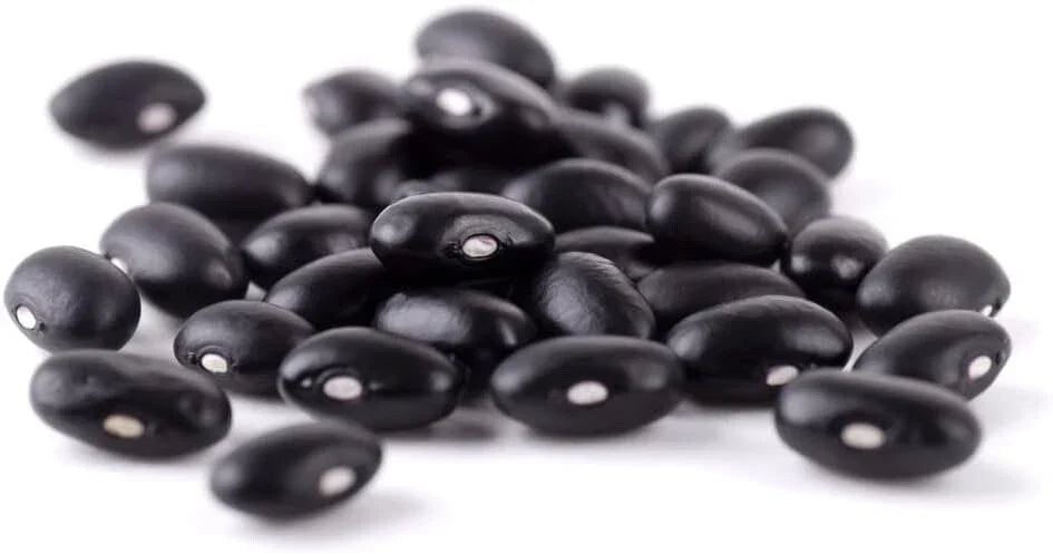 Cherokee Trail of Tears Bean Seeds - Heirloom Phaseolus vulgaris - 20 Seeds