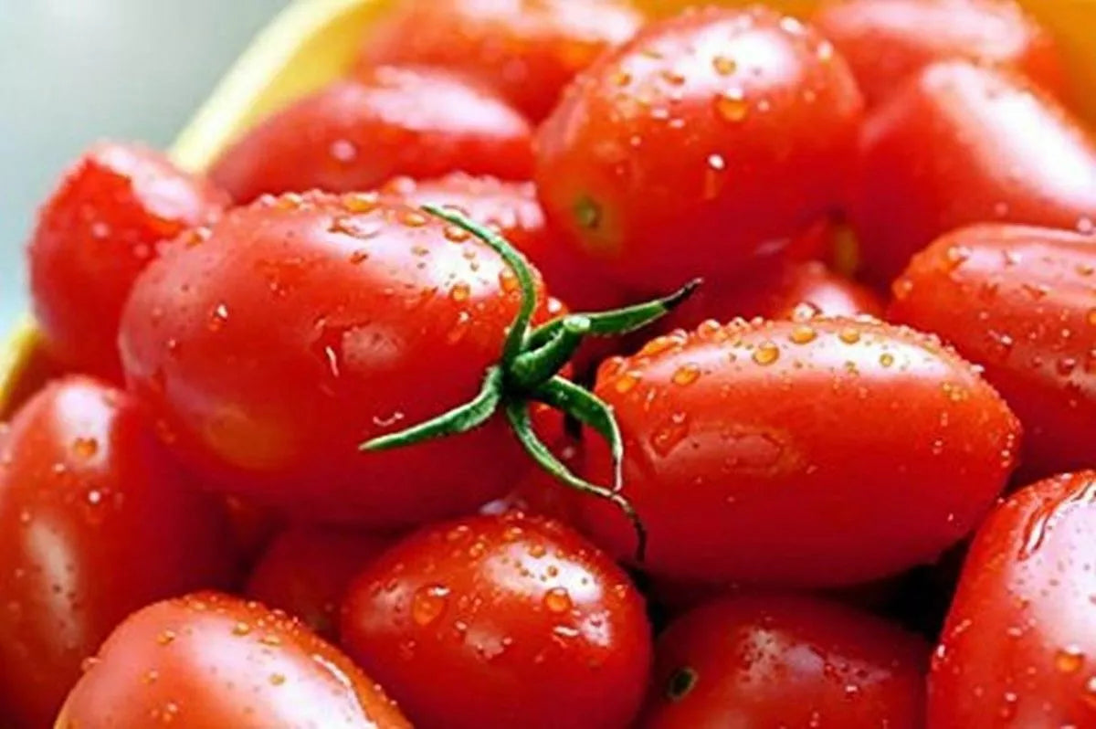 Crovarese Italian Grape Tomato Seeds – Heirloom Solanum lycopersicum, Sweet Small Tomatoes for Salad & Sauce, 50 Pack