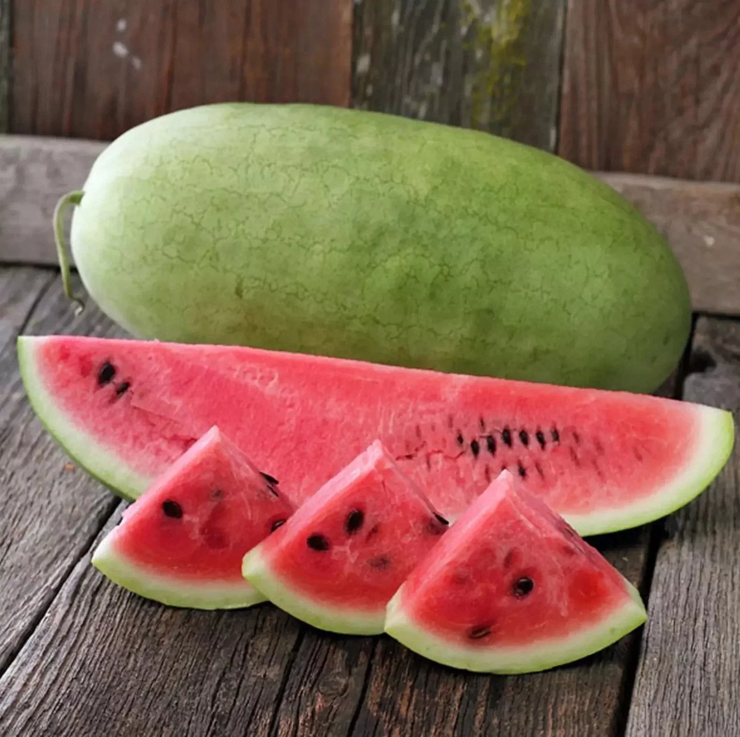 Organic Charleston Grey Watermelon Seeds - Heirloom, Non-GMO, Citrullus lanatus, Pack of 10+ Seeds for Home Garden, Juicy & Sweet