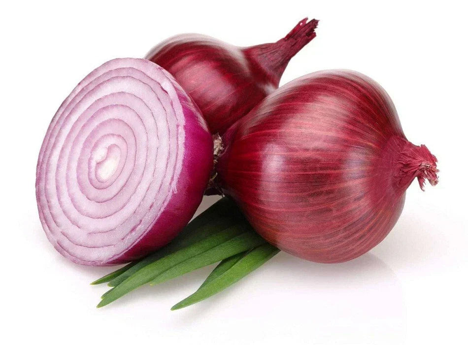 Bermuda Onion Seeds - 500+ Heirloom Allium cepa - USA Grown