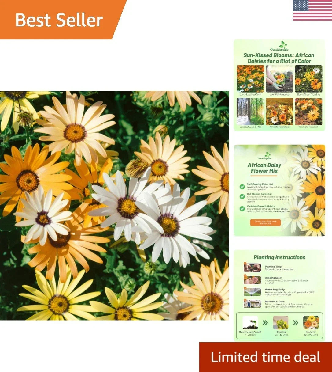 Heirloom African Daisy Seeds - 1/4 lb, Bright Color, Easy-to-Grow Annuals for Borders, Arctotis spp.