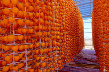 American Persimmon Tree Seeds - 20 Pack - Diospyros virginiana - Grown in USA, Ships from Iowa