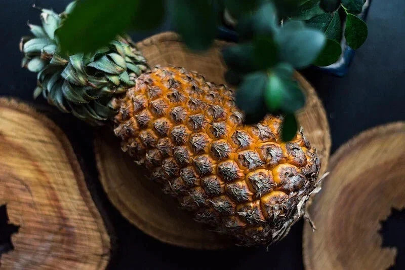 Giant Kew Pineapple Seeds – 15+ Ananas comosus Seeds for Garden Planting USA