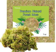 Natural Orchid Moss - 7 Oz Soilless Potting Soil for Orchids, Seedlings & Potted Plants - Organic Sphagnum Moss