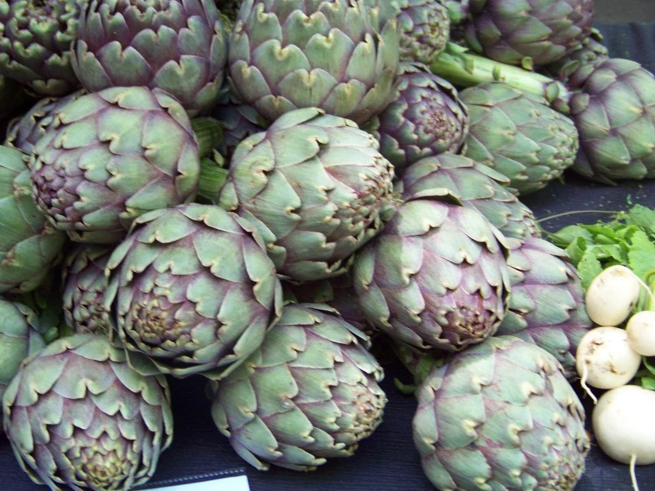 Green Globe Artichoke Seeds - Non-GMO Heirloom, 40 Pack, Cynara scolymus, Full Sun, Organic Gardening Seeds