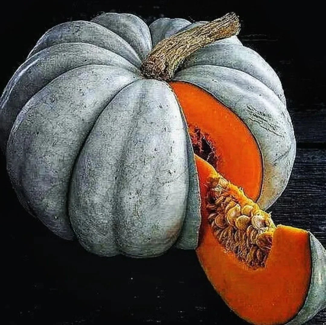 Jarrahdale Blue Pumpkin Seeds - 15 Fresh Cucurbita maxima for Culinary & Decorative Use