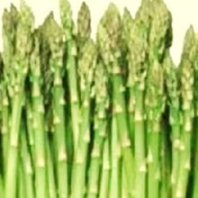 Asparagus Seeds - Mary Washington - Heirloom NON-GMO - Asparagus officinalis - Vegetable Garden Seeds