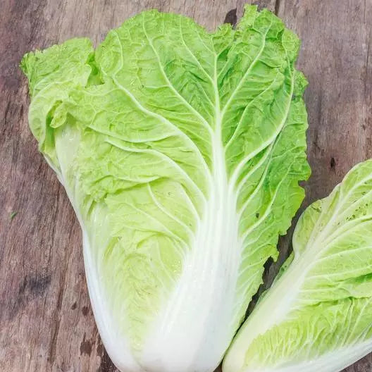 Non-GMO Heirloom Michihili Cabbage Seeds – Organic Brassica rapa for Home Gardening, 1000 Seeds