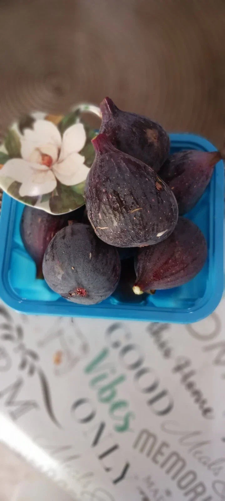 Black Mission Fig Cuttings - 6+ Inch Dormant Propagation Scions - Ficus carica 'Black Mission' for Gardening & Orchards