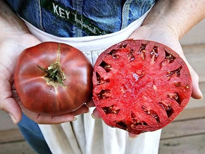 Cherokee Purple Tomato Seeds - Heirloom Non-GMO Organic Solanum lycopersicum - 60+ Seeds for Home Garden & Culinary Use