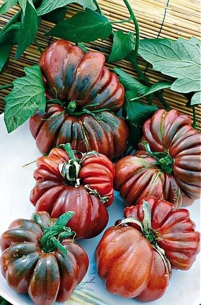 Black From Tula Tomato Seeds – Heirloom Organic Non-GMO Solanum lycopersicum, Dark Skinned, Juicy, Heirloom Tomato Seeds