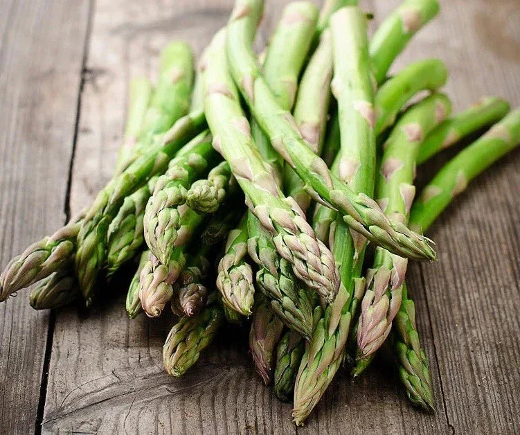 Asparagus Seeds 100+ Heirloom Mary Washington Non-GMO, Perennial Vegetable, Organic Gardening, USA Free Shipping