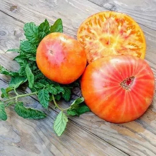 Big Rainbow Tomato Seeds – Heirloom Organic Non-GMO Solanum lycopersicum for Home Garden, Colorful Large Tomatoes