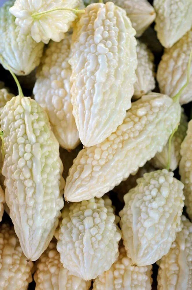 Exotic White Bitter Gourd Seeds - 10 Pack - Momordica charantia for Planting
