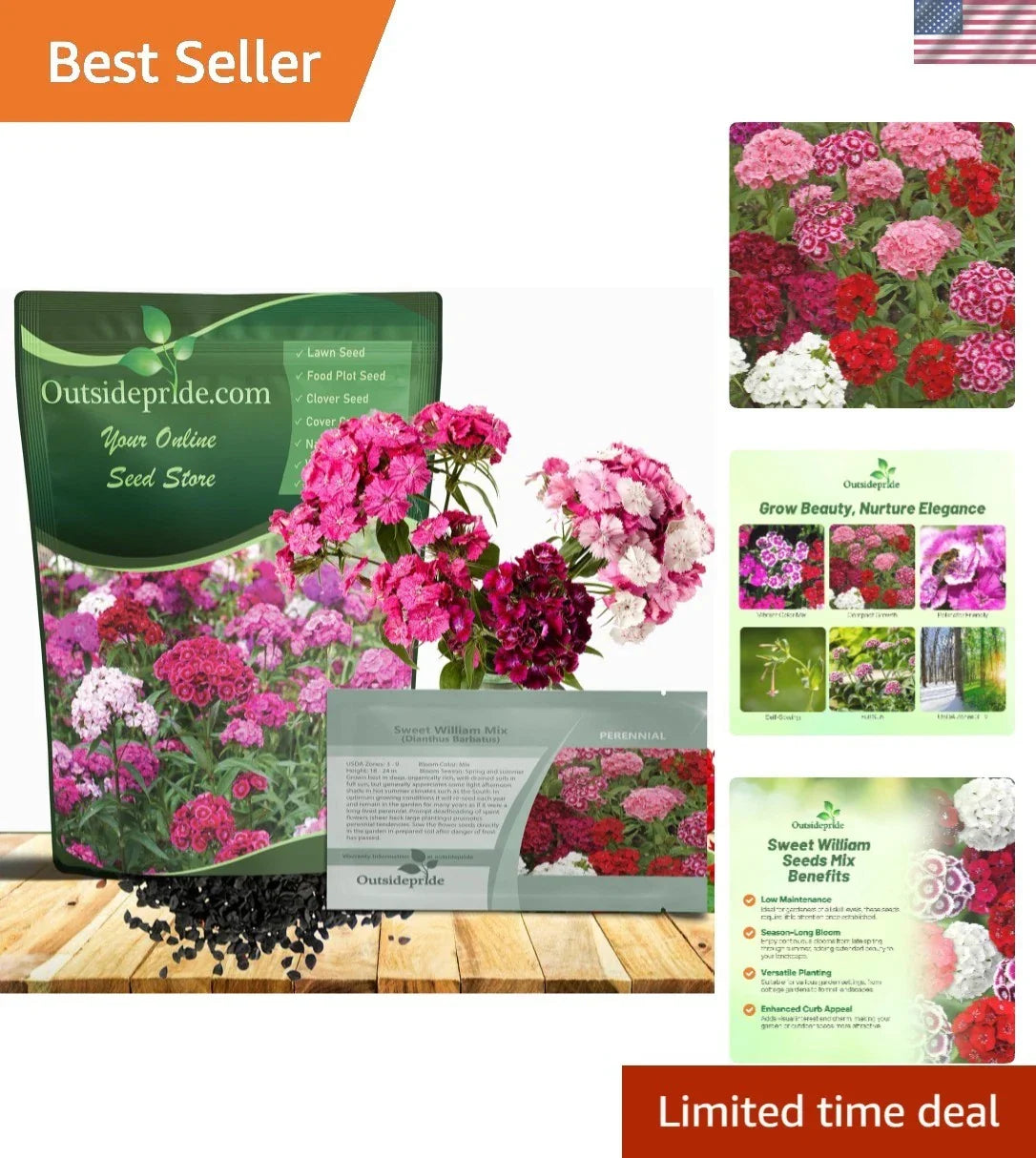 Perennial Sweet William Seeds 1/4 lb - Vibrant Clusters for Pollinator Gardens Dianthus barbatus