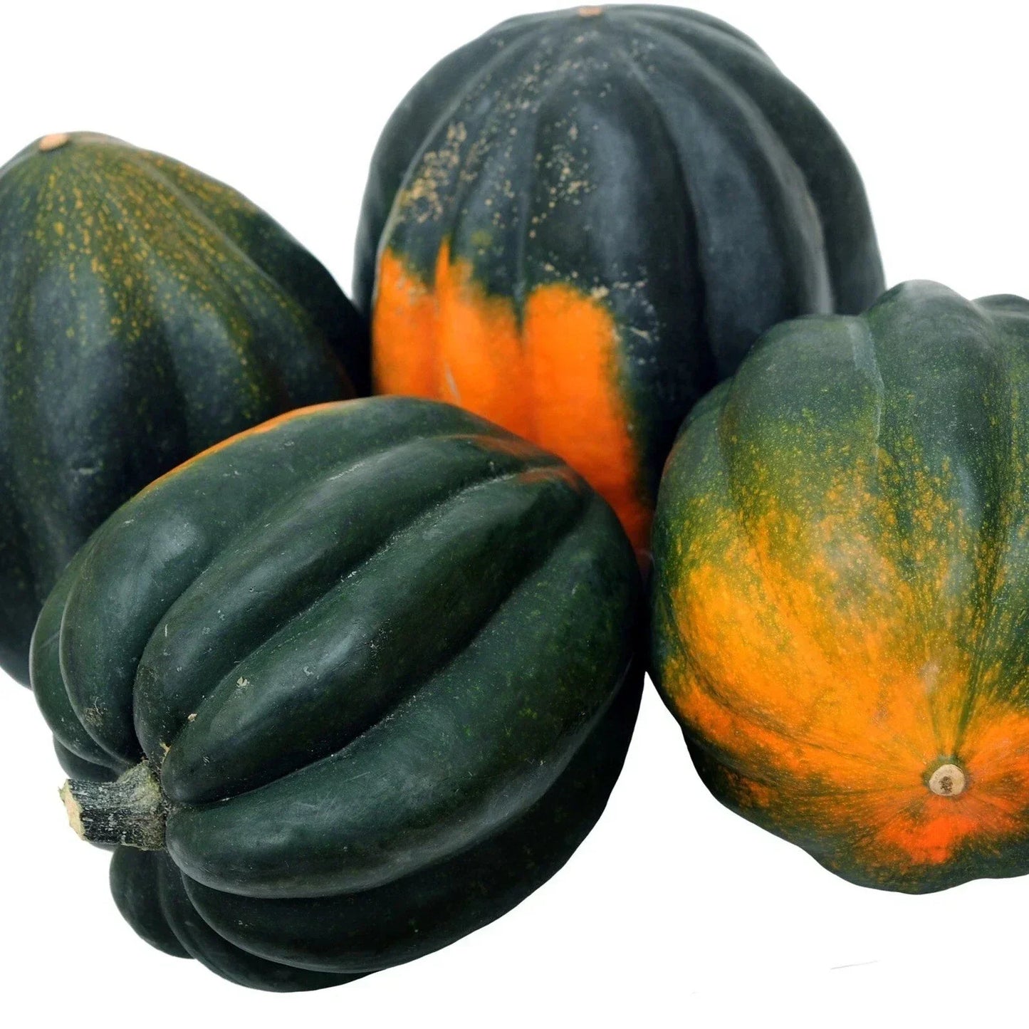 Table Queen Acorn Squash Seeds - 25+ Heirloom Non-GMO Organic Seeds for Home Gardening